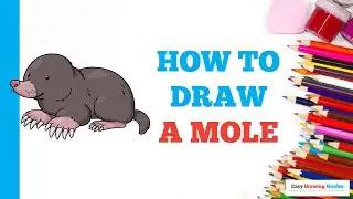 How to Draw a Mole: Easy Step by Step Drawing Tutorial for Beginners