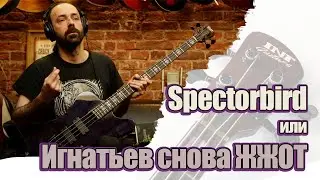 Обзор INT Custom Thunderbird