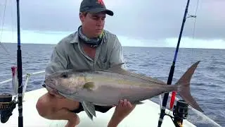 Big Game Fishing Mauritius, Black River Le Morne , Blue / Black Marlin, Yellowfin Tuna, Pelagic