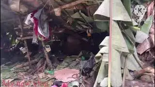 stranded in marging village rainforest - 6 days solo  camping