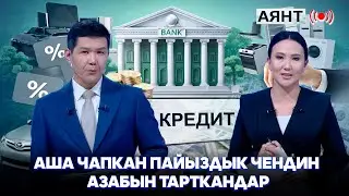 Ломбард, микрокредиттик компаниялардын алкымы канткенде тыйылат? /// АЯНТ
