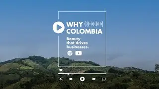 Why Colombia: Así funciona uno de los mercados más grandes de flores en el mundo