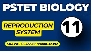 DAY-11 Biology For Paper-2 Sci. Math TISSUE | SAAVAL CLASSES || 99888-32392