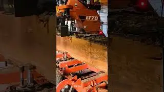 Was This Rotted Log Worth Milling?  #woodworking
