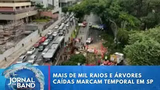Mais de mil raios e árvores caídas marcam novo temporal em São Paulo | Jornal da Band