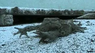 Rupikonna aterialla 2