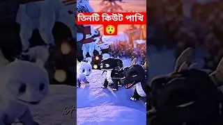 তিনটি কিউট পাখি😲 #viral #funny #bird #birds #trending #ytshorts #trending #viralvideo #viral #shorts