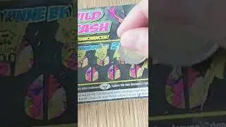 Wild Cash: Rubbellos. Bin ich Stier fixiert?