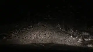DeepPowderSnow surfing Peugeot 407 2.2hdi BiTurbo.    (4/12/21)