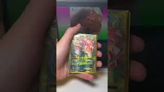 Will This $100 Pokemon  Mystery Box Be Worth It?