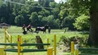 Newnham 2010 Carriage Driving Trials Part 5 of 6