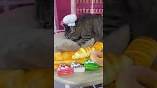🧑&zwj;🍳🍞 #ChefGary #Chef #Baker #Cat #Donuts #cutecat