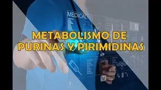 METABOLISMO DE PURINAS Y PIRIMIDINAS