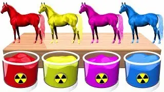 Bathing Fun Colors for Kids | The horses are very beautiful colors | Dye Coloring