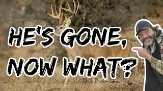 What to do when your target buck moves!