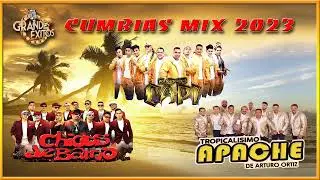 Las Mejores Canciones De Cumbia Mix 2020⭐⭐Tropicalisimo Apache-Chicos De Barrio-Los Capi⭐⭐