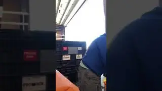 Dumping seed corn bags into a tote
