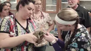 YVC Stories: Veterinary Technology