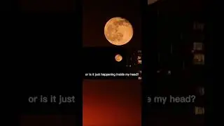 Moonrise Timelapse in LONDON | Canary Wharf
