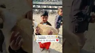 Stray dog lover 🐩❤️🥰🧿 #spreadinghappiness #love #animal #adoptdonotshop #dog #pet #straydog