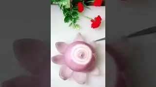 Amazing effect cutting vegetable