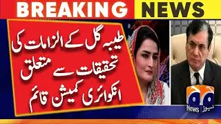 Govt forms commission to probe Tayyaba Gul's allegations against former NAB chief - GEO NEWS