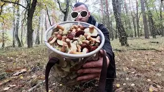 ВЕЛИКЕ КІНО ПРО ЛІС ТА ГРИБИ🌲🍄‍🟫 Ми у серці чарівності та спокою осіннього лісу✨