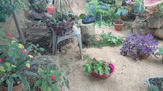 YO AQUÍ MI GENTE HACIENDO ALGUNOS CAMBIOS EN EL JARDÍN EN ESTE 2026 