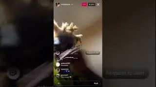 Kodak Black Snippet JUNE/22/21