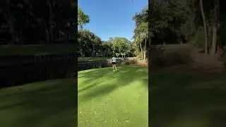 Meg #8 Tee Shot Harbour Town