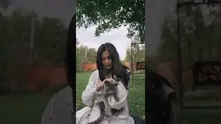 Aww Funniest Russian Blue Cat,Try Not To Laugh,Funny Pet Animals' Life Enjoy,latest funniest Video,