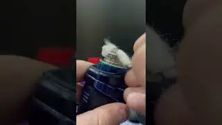 Обслуживание Zeus X mesh