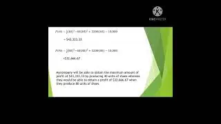Final Assignment for Introduction to Mathematical Economics