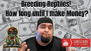 Breeding Reptiles Full-Time! How Long Before You Start To Make Money!