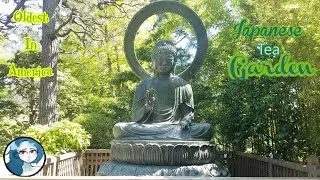 Japanese Tea Garden Reopen - San Francisco, California