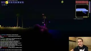 Terraria. День 8 (15.01.2026)