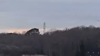 Starling murmurations 
