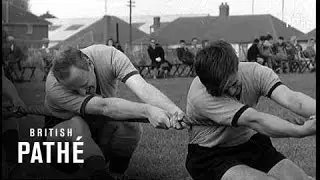 The Big Pull (1959)