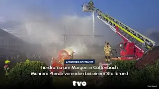 Tierdrama am Morgen in Cottenbach: Mehrere Pferde verenden bei einem Stallbrand