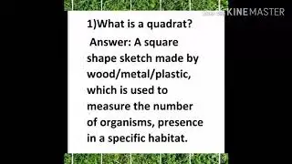 What is a quadrat(simple and easy definition). And related questions.