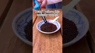 smoke and smell of burning dry coffee grounds repels mosquitos #hacks #tips #diy #home #bug