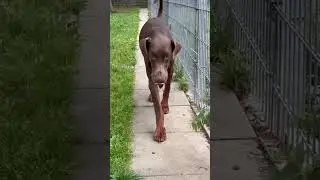 Sofa frei f&uuml;r Dobby?