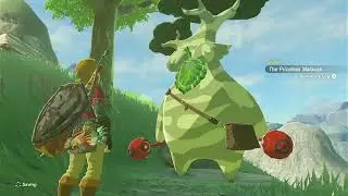 Legend of Zelda BOTW Hetsu