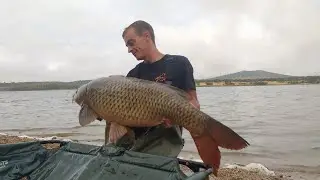 CARPFISHING HORNO TEJERO