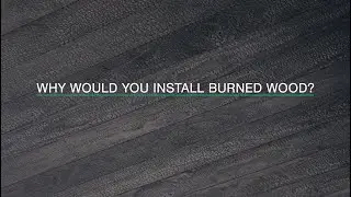 Charred Wood? What's Shou Sugi Ban? | Design vs. Build #homedesign #architecture #shousugiban