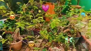 GOTONG ROYONG DI TAMAN LITERASI SMANSEV (KELOMPOK 4)