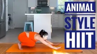 HIIT в стиле животных 🐾