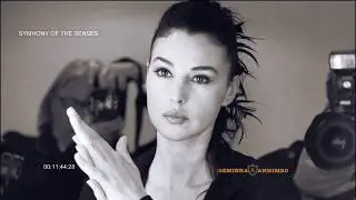 Kinestetika