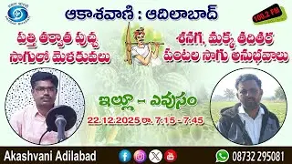 పత్తి తర్వాత పుచ్చ సాగులో మెళకువలు || శనగ, మక్క తదితర పంటల సాగు అనువభవాలు