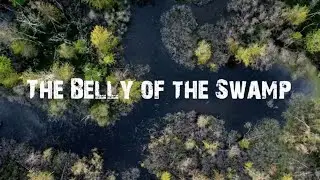 My Dream Duck Hunting Property! Micro Duck Hunting Property Management! The Snake Swamp Series part1